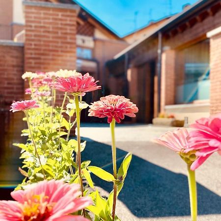 Agriturismo Teresa Delle Fragole Vigano ภายนอก รูปภาพ