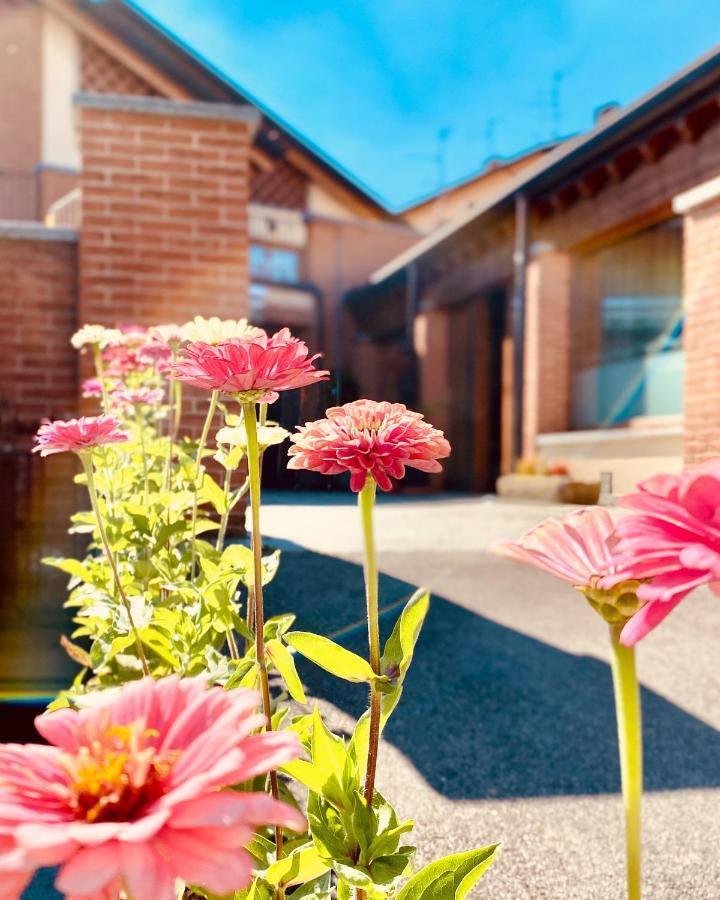 Agriturismo Teresa Delle Fragole Vigano ภายนอก รูปภาพ